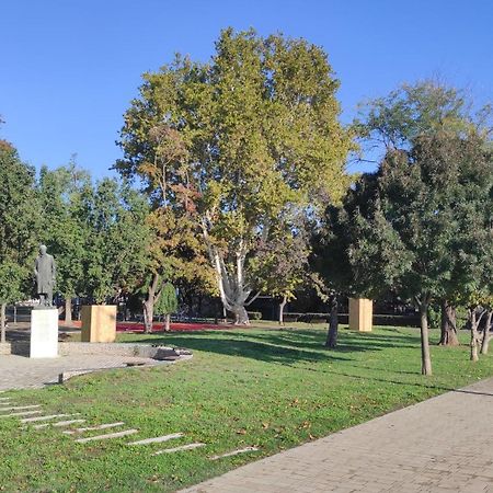 Nature In The City Lower Storey Bestern Szegedin Exterior foto